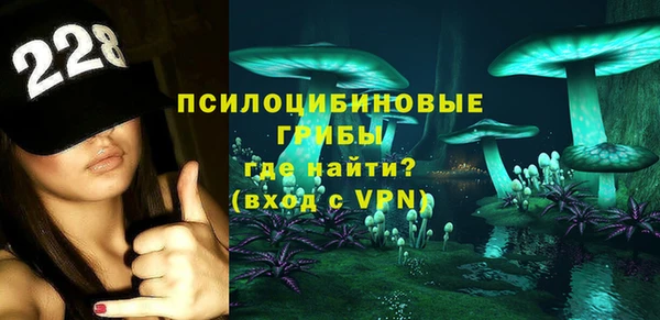 mdma Богородицк