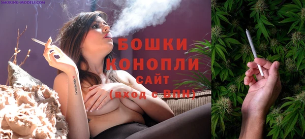 spice Струнино